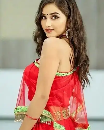 Call Girls Service Sadulshahar
